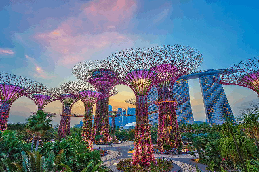 Gardens by the bay in Singapore