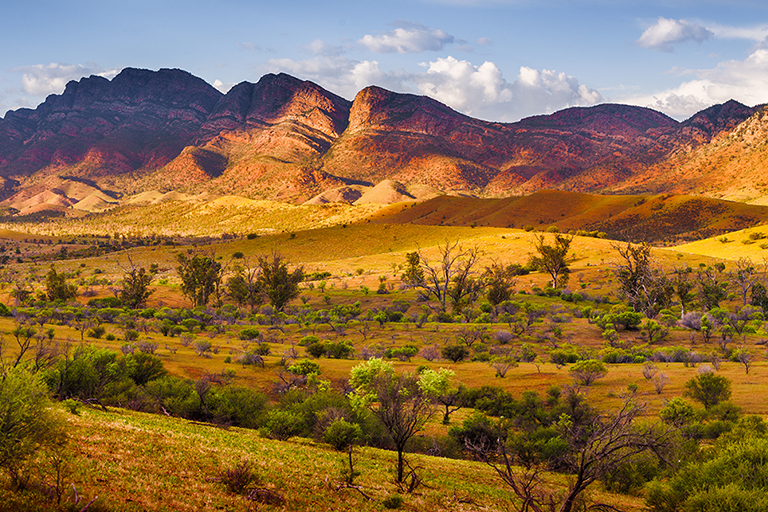 Australian outback landscape