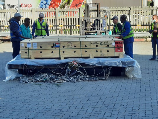 6 males in high-vis vests around large crate