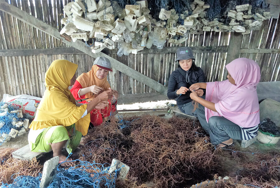 4 Indonesian women in headwear kneel on floor sorting seaweed