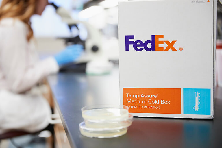 FedEx medium cold box in a lab