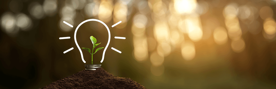 Green plant grows inside glowing light bulb