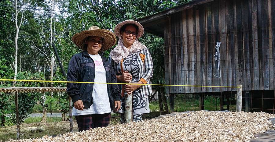 Two female farmers in straw hats on ginger farm